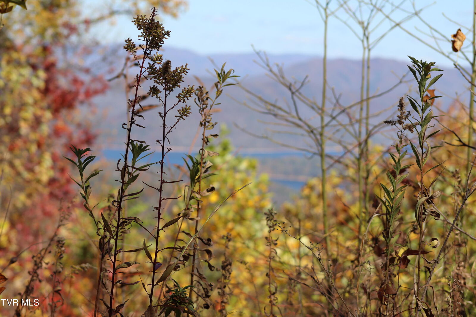 Property Photo:  48 Locust Lane  TN 37640 