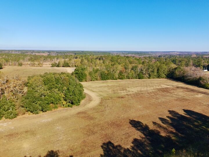 Property Photo:  73 Acres Wagener Road  SC 29801 