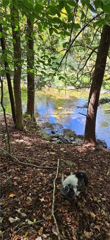 Property Photo:  0 Lafayette Road  NY 13073