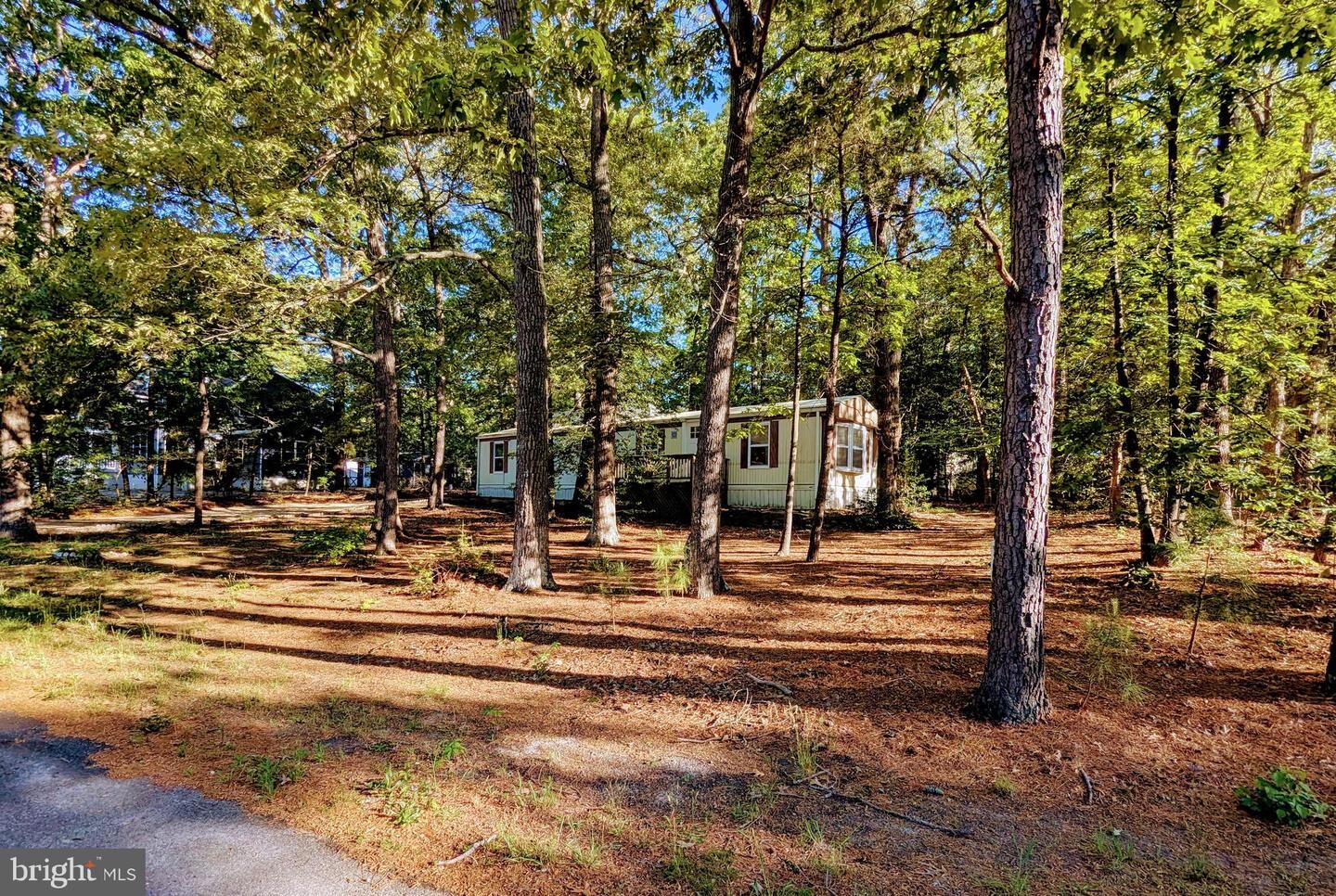 Property Photo:  36344 Fir Drive  DE 19971 