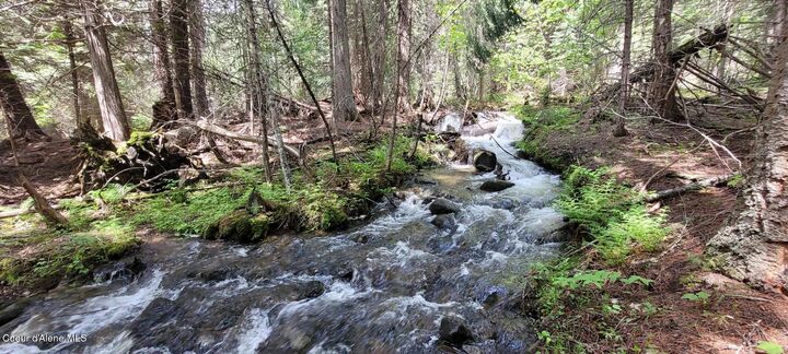 Property Photo: 574 Poco Lobo Rd MT 59935