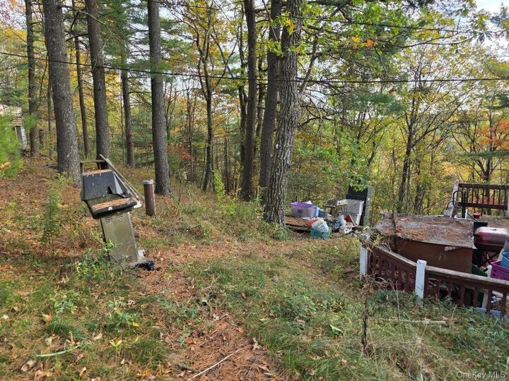 Property Photo:  43 Hilltop Trail  NY 12790 