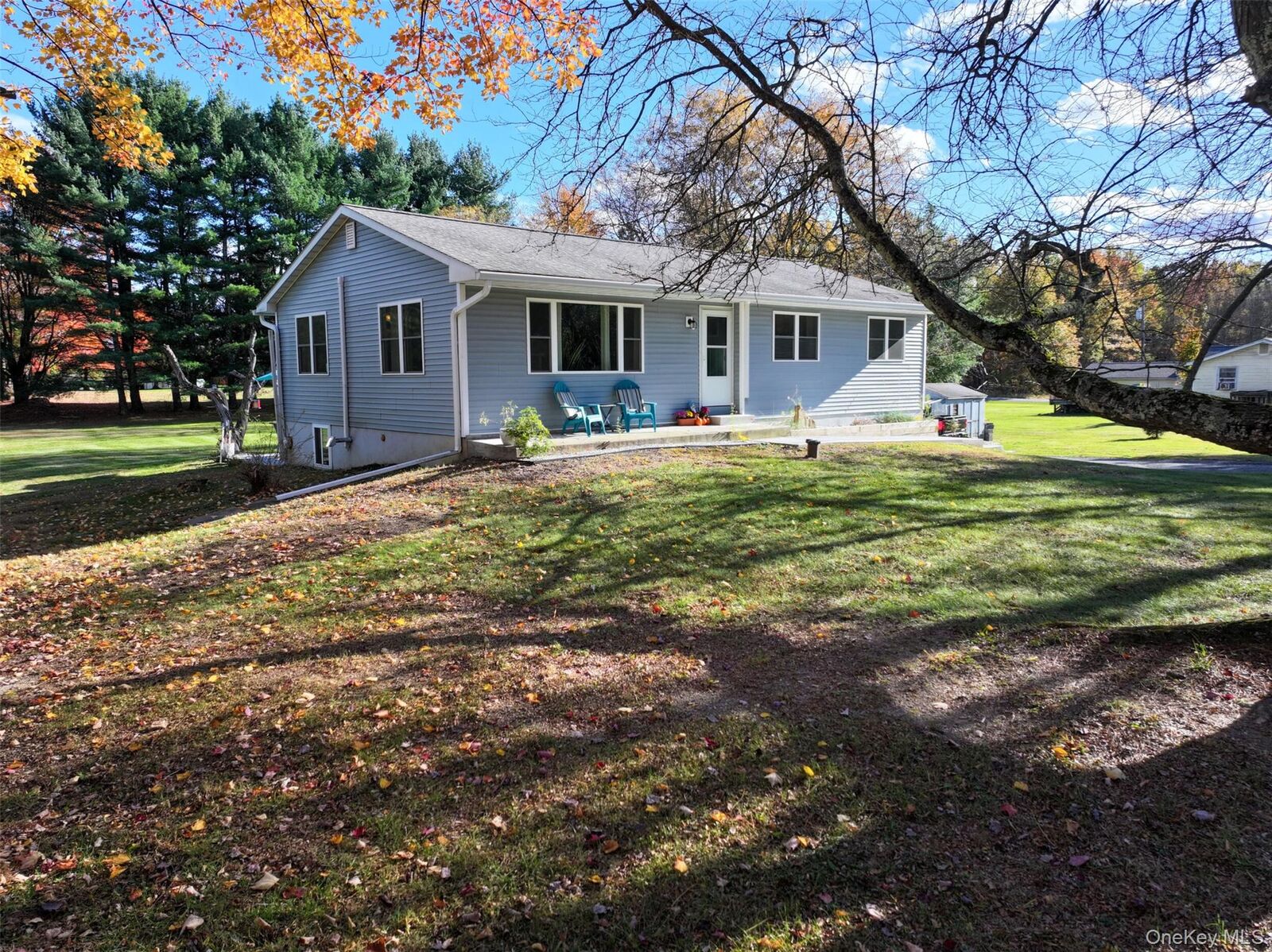 Property Photo:  254 Long Lane  NY 12721 