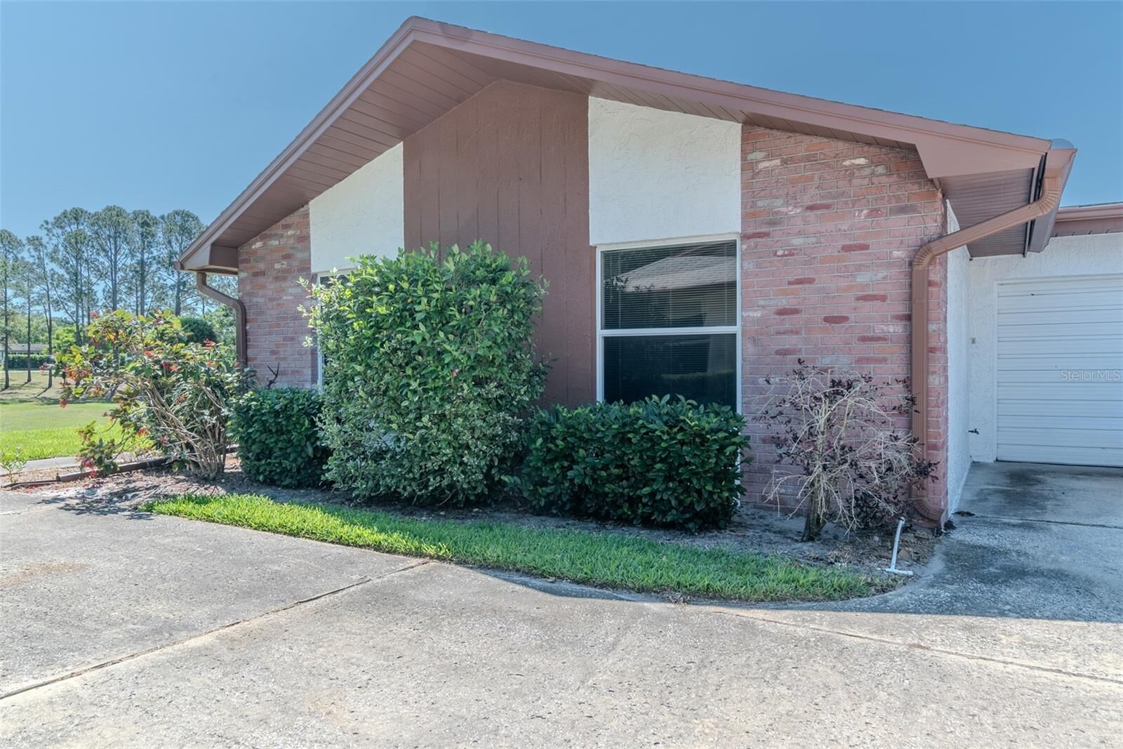 Property Photo:  2241 Shelly Drive D  FL 34684 