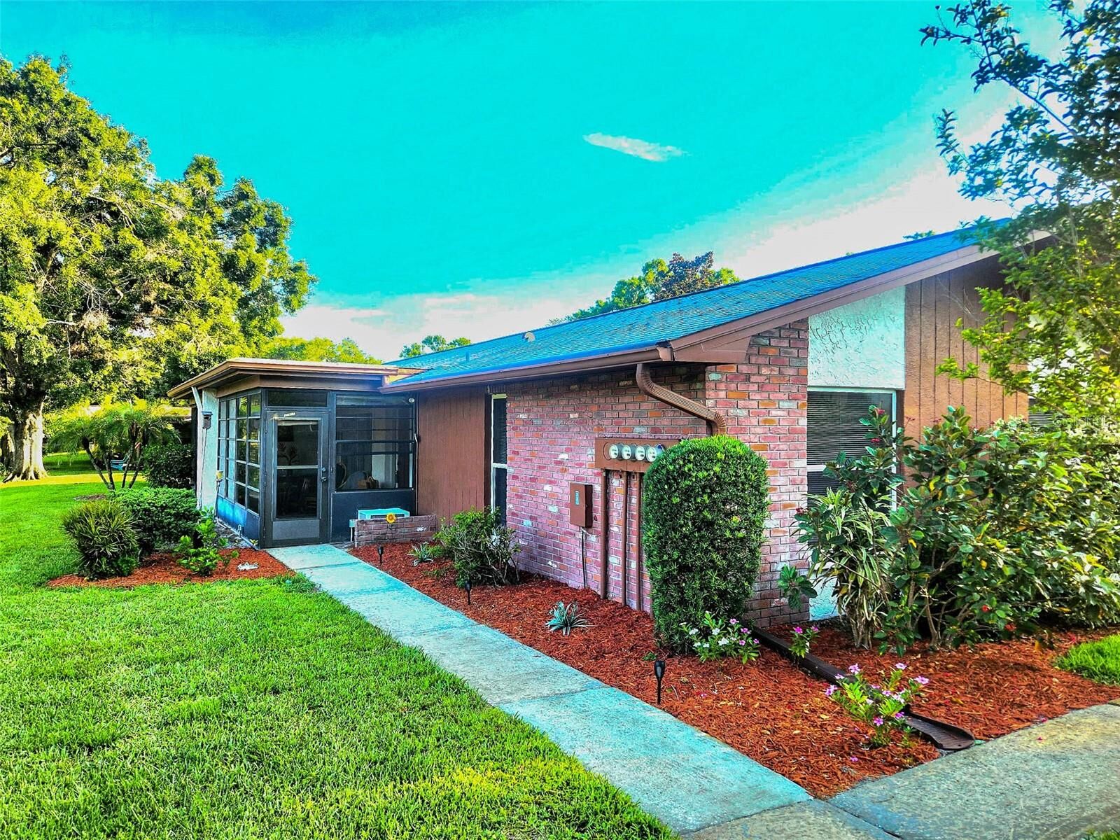 Property Photo:  2241 Shelly Drive D  FL 34684 