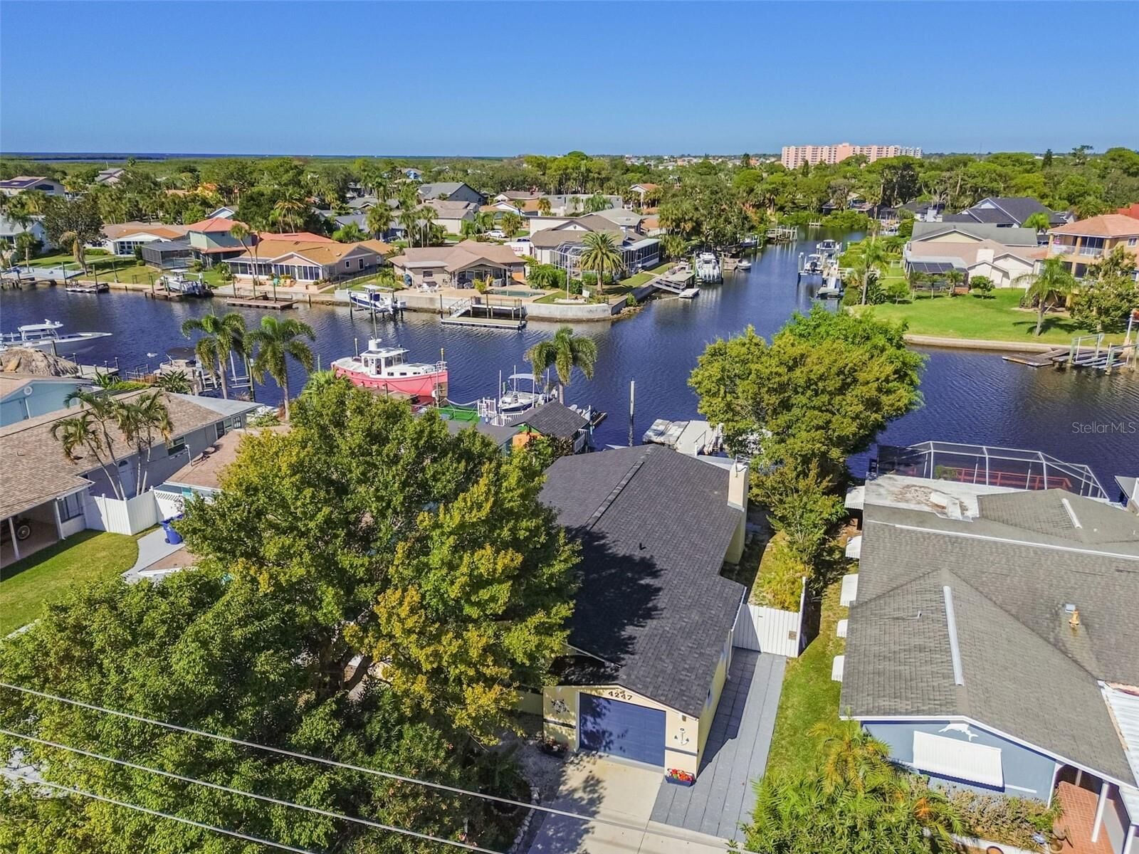 Property Photo:  4247 Floramar Terrace  FL 34652 