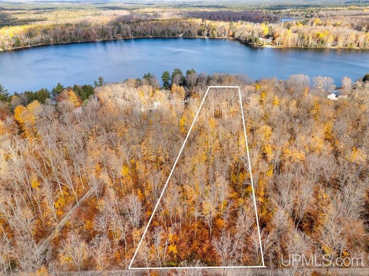 Tbd W Smith Lake Drive  Manistique MI 49854 photo