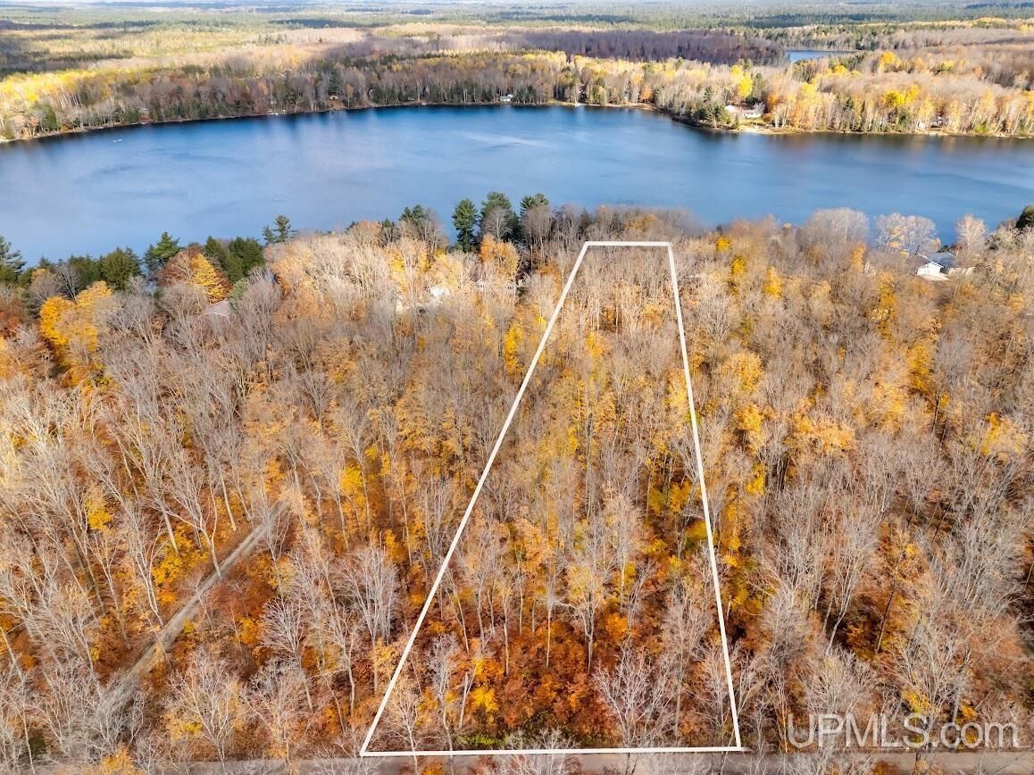 Property Photo:  Tbd W Smith Lake Drive  MI 49854 