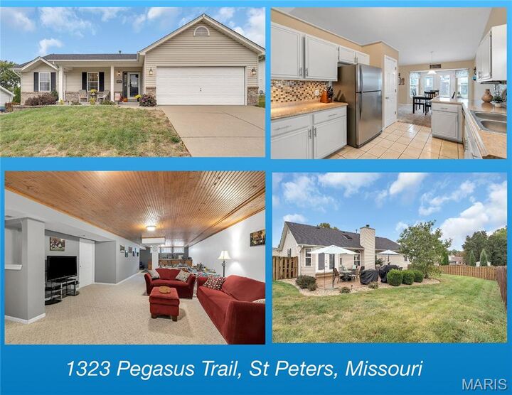 1323 Pegasus Trail  St Peters MO 63376 photo