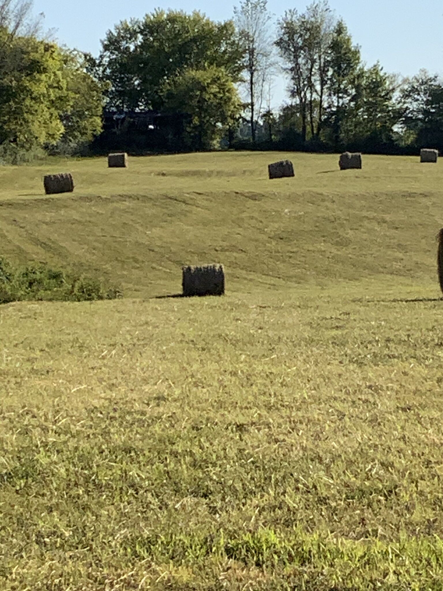 Property Photo: 0 Deer Ridge Road TN 38476