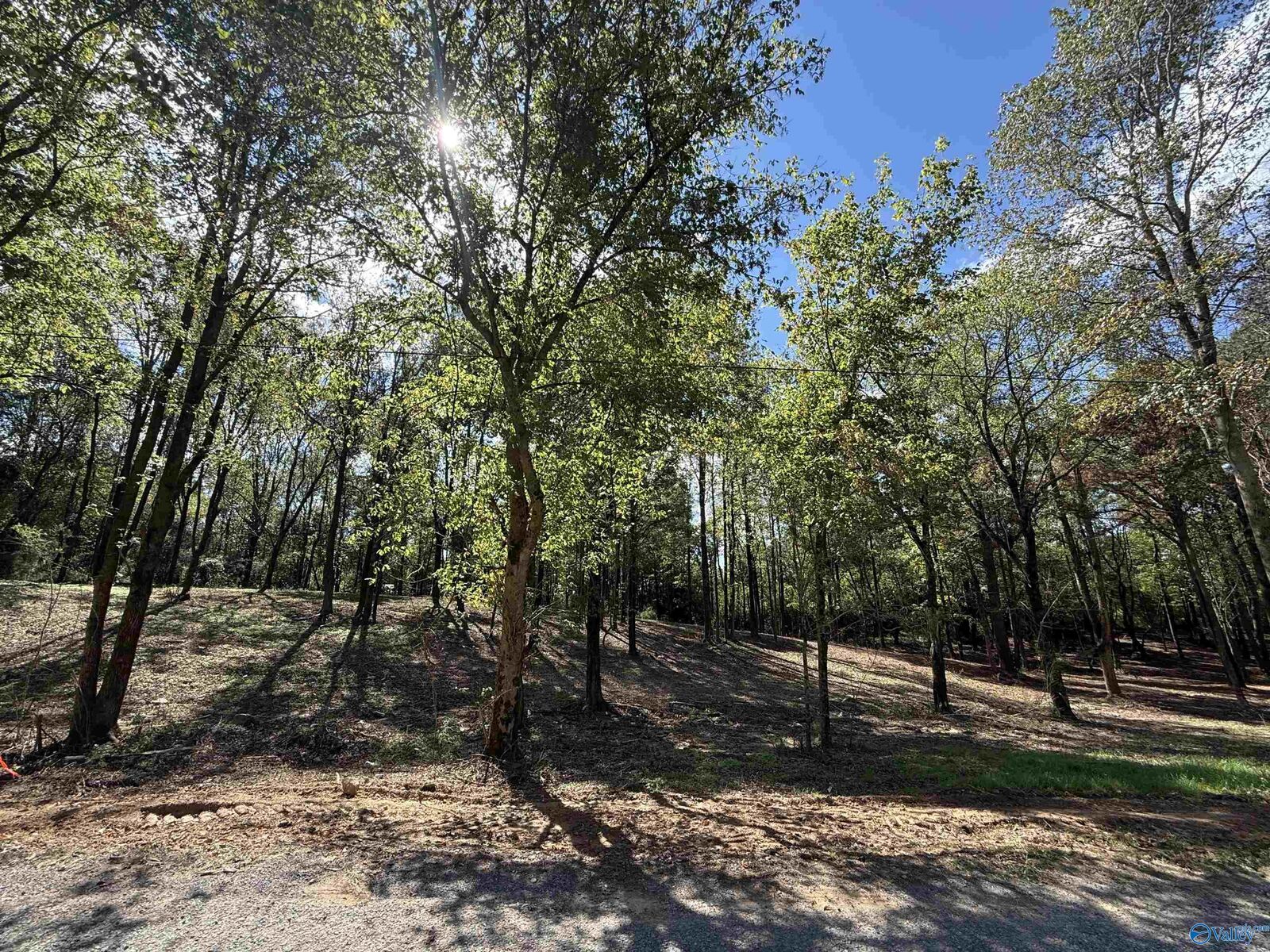 Property Photo:  #12B County Road 1123  AL 35179 