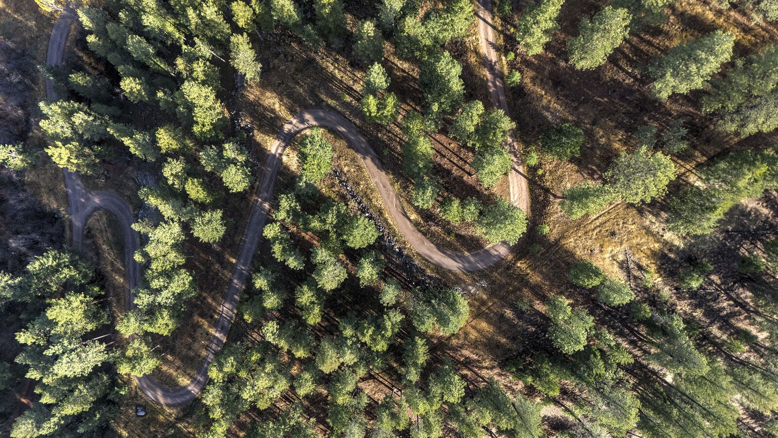 Property Photo:  Parcel 3B Snowshoe Lane  MT 59801 