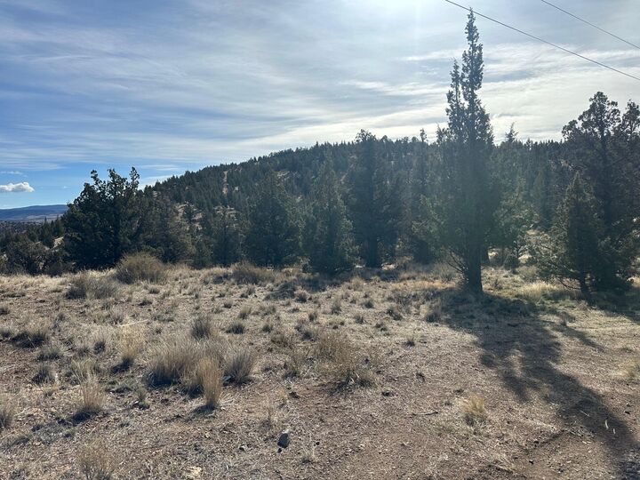 Property Photo:  SE Renegade Loop Lot 2  OR 97754 