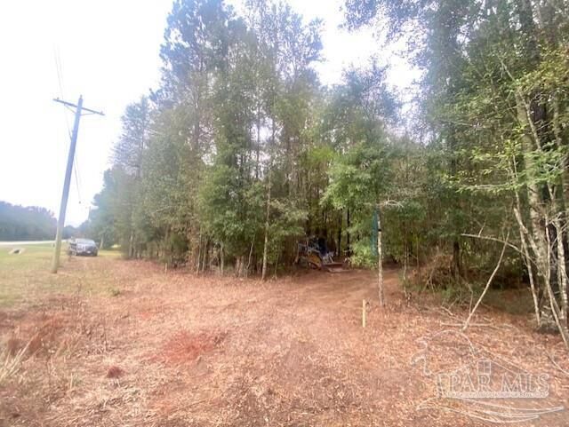Property Photo:  8 Acres Hwy 4  FL 32565