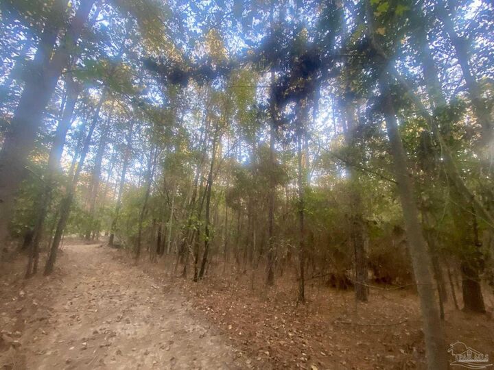 Property Photo: 8.55 Acres Hwy 4 FL 32565