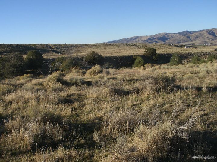 Property Photo:  0 Summers Drive  CA 93561 