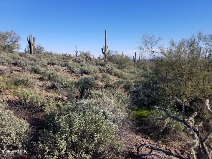 Property Photo:  43327 N Castle Hot Springs Road Top  AZ 85342