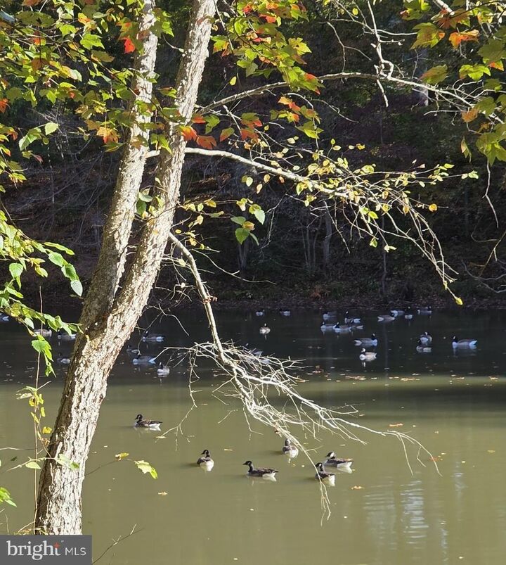 Property Photo: 520 E Chesapeake Beach Road MD 20736