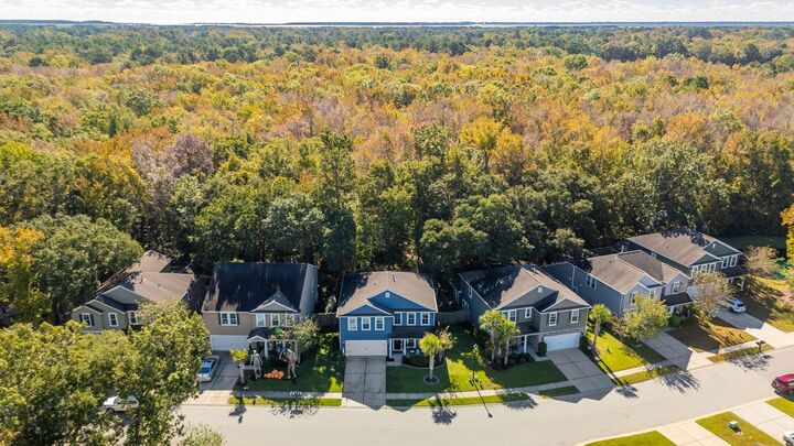 Property Photo: 3924 Hanoverian Drive SC 29429