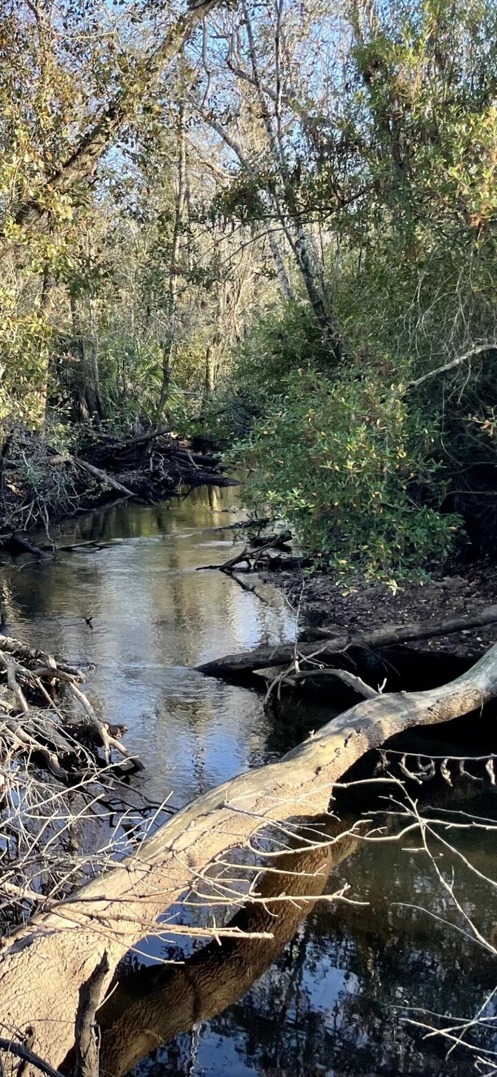 Property Photo:  11036 Dartmouth Place  FL 32404