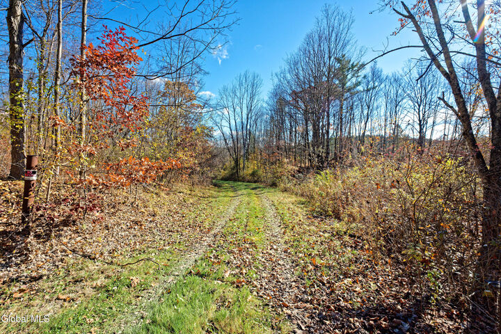 Property Photo:  L8 Lower Cady Road  NY 12037 