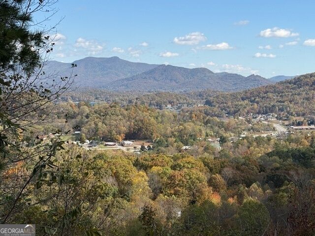 Property Photo: Lt 18 Vista Loop Road GA 30582