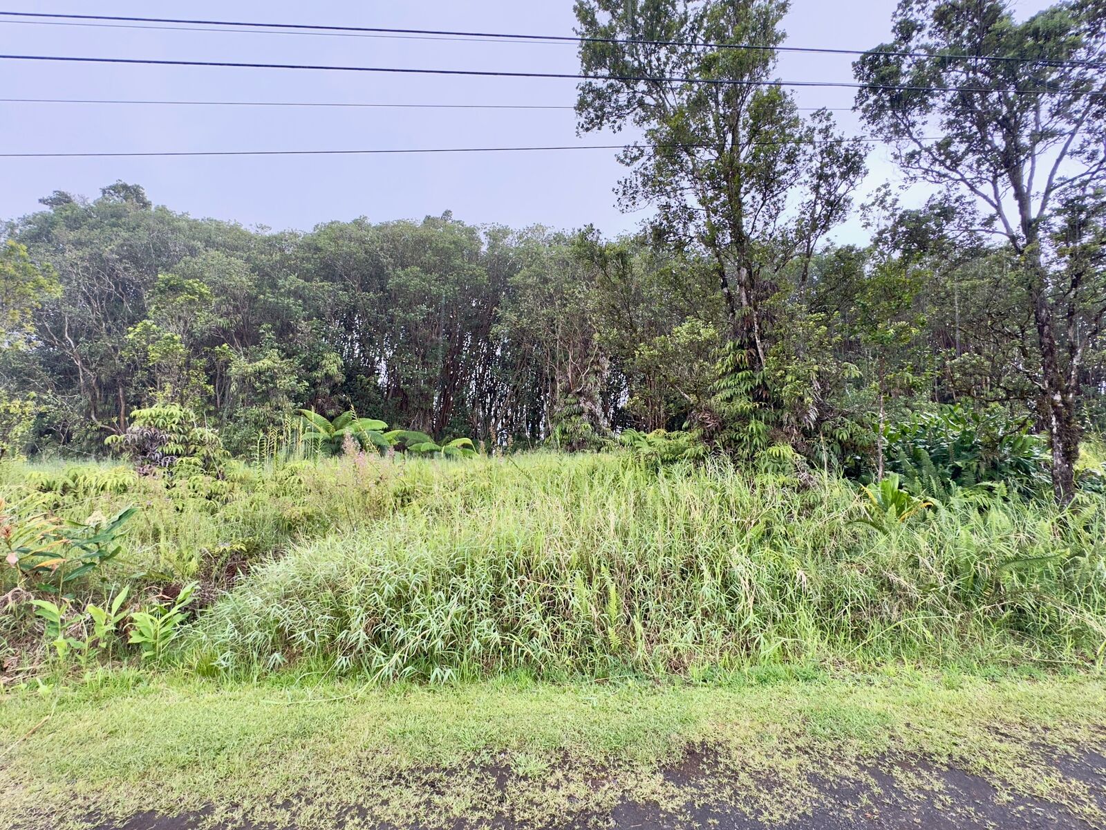 Property Photo:  Hohiu St  HI 96785 