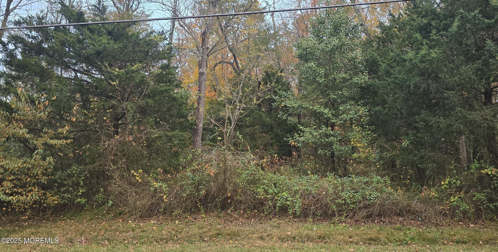 Property Photo: 301 Meany Road NJ 08562