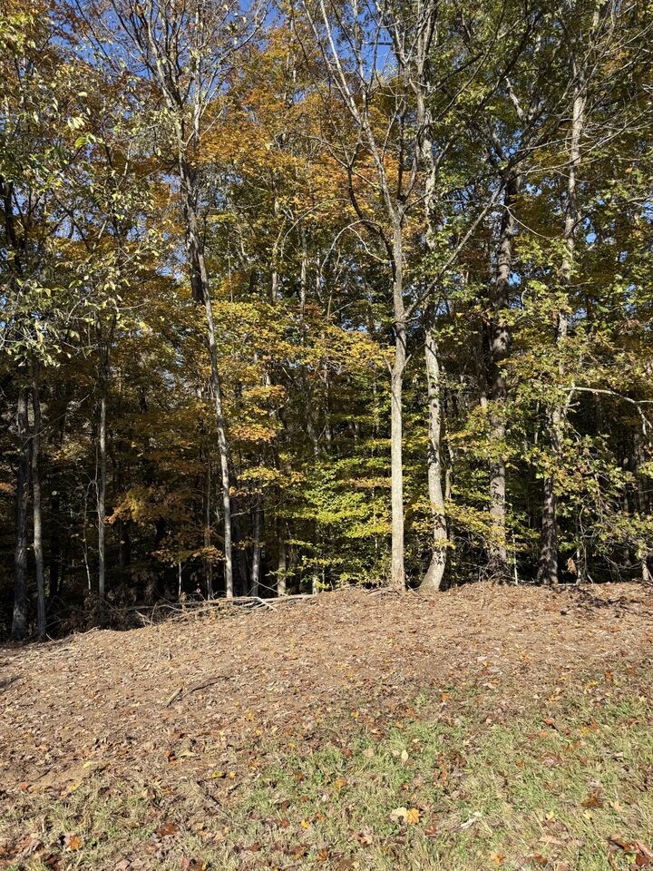 Property Photo:  0 Collins Road  TN 38541 