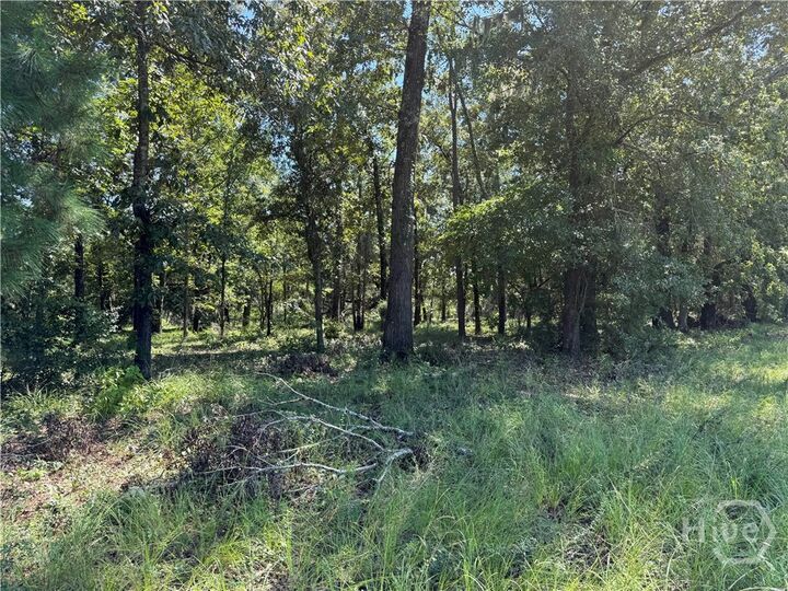 Property Photo:  0 Sunbury Road Tract 6  GA 30417 