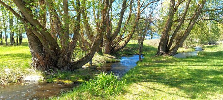 Property Photo:  586 Cash Nichols Road  MT 59870 