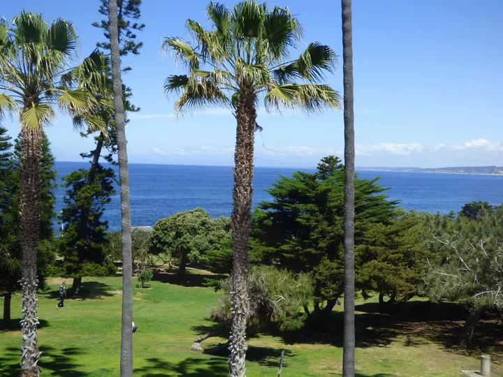 Property Photo: 8040 Girard Avenue 6 CA 92037