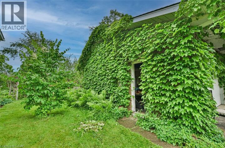 Property Photo:  46 Birchcliff Avenue  ON N2M 4V6 