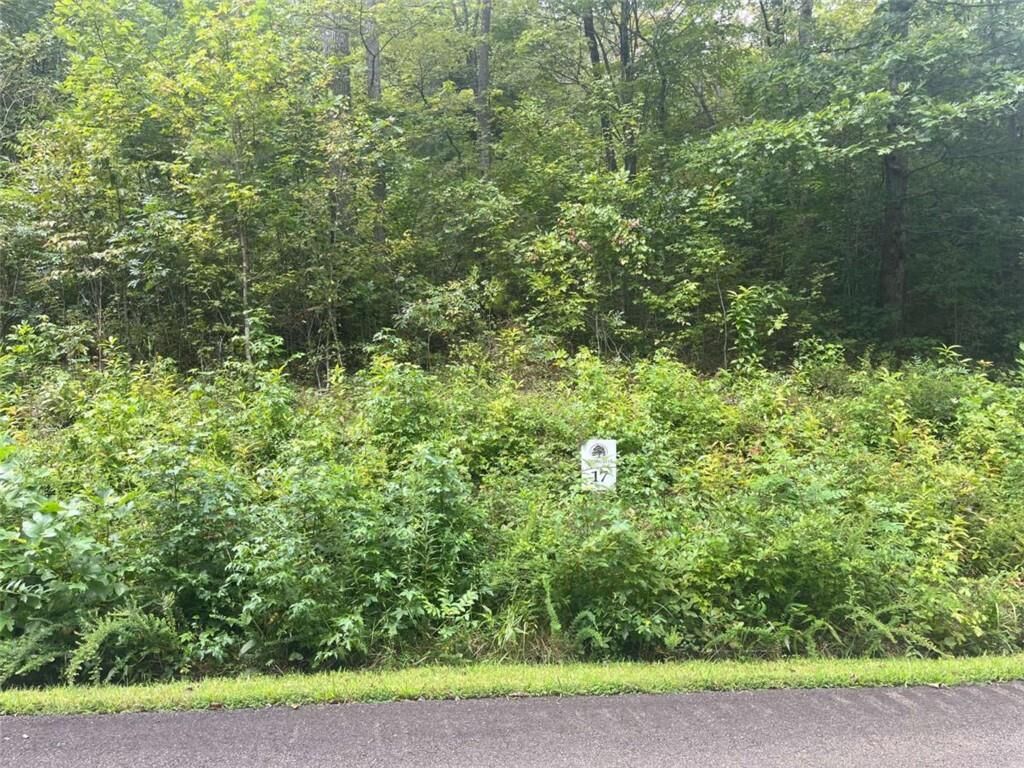 Property Photo:  Lot 17 Staurolite Mountain Drive  GA 30513 
