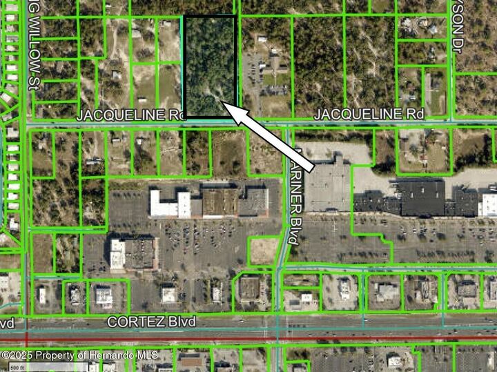 Property Photo:  00000 Jacqueline Road  FL 34613 