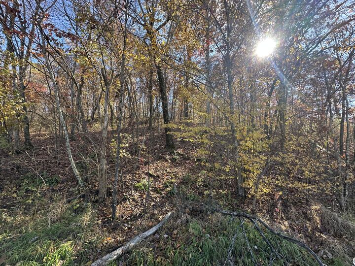 Property Photo:  279 Jaw Road  KY 40729 