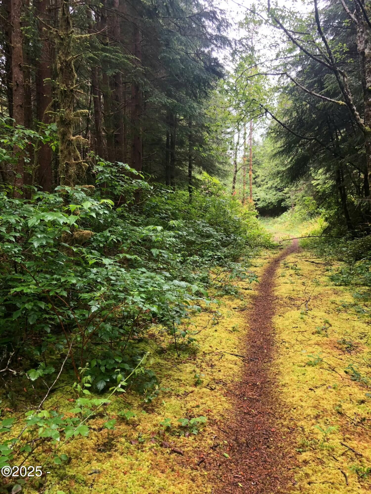 Property Photo: Tl 500 SE Chittum Drive OR 97366