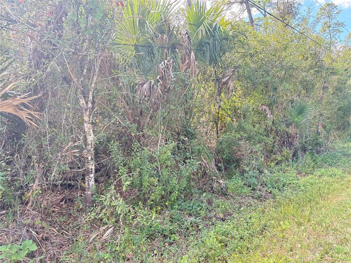 Property Photo:  Cobbler Lane  FL 34286 
