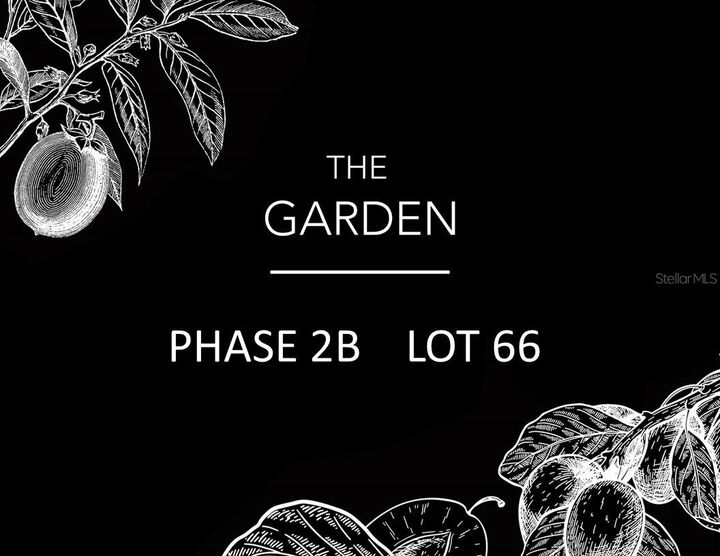 6110 SW 124th Way  Archer FL 32618 photo