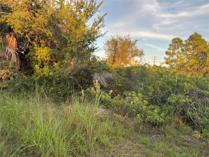 Property Photo:  14251 Ingraham Boulevard  FL 33981