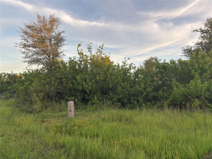 Property Photo:  14251 Ingraham Boulevard  FL 33981 