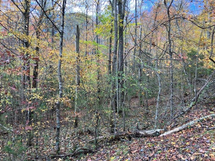 Property Photo:  39 Acres Hedden Stiles Road  NC 28906