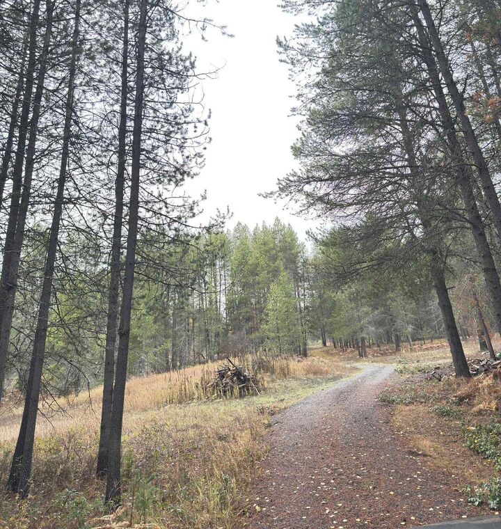 Property Photo: 295 Wilderness Ave WA 99139