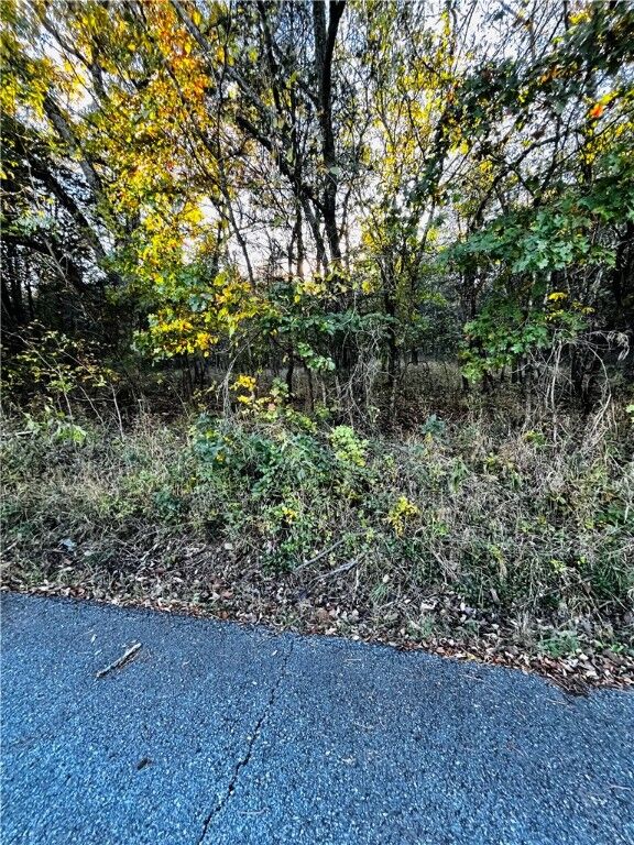 Property Photo:  Eagle Drive 6  AR 72631 