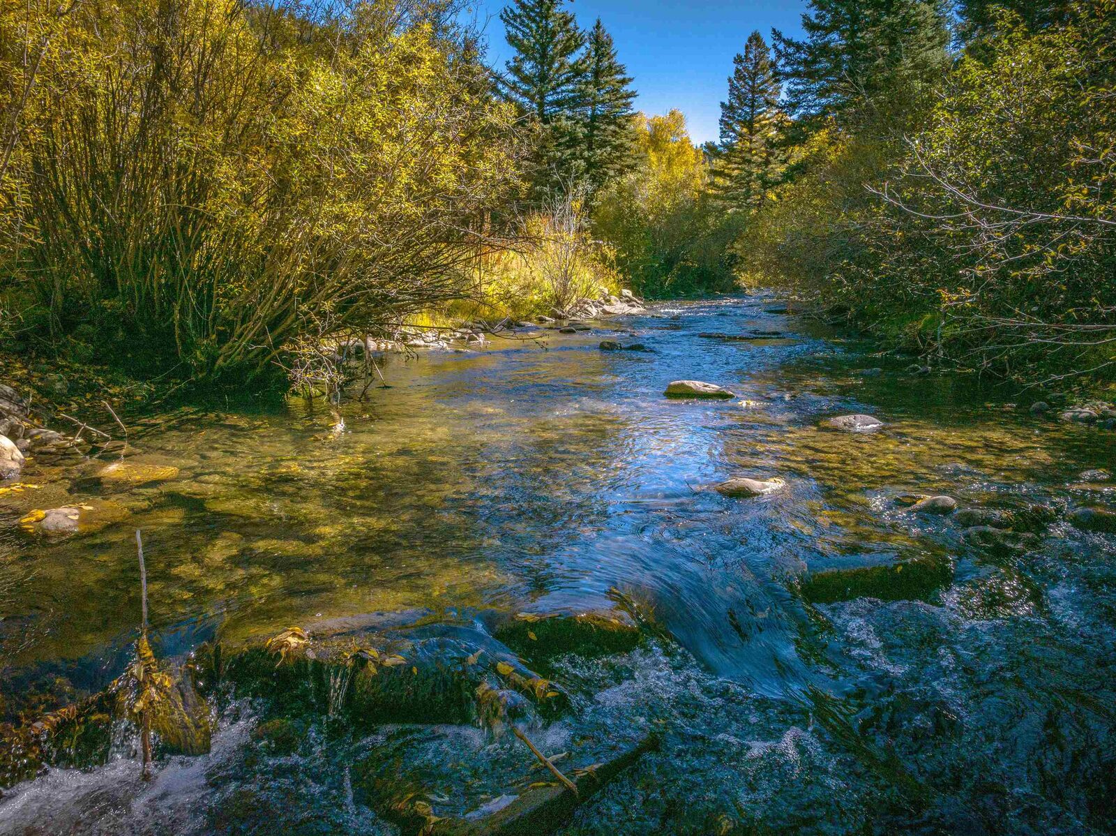 Property Photo: 4917 State Hwy 518 NM 87579