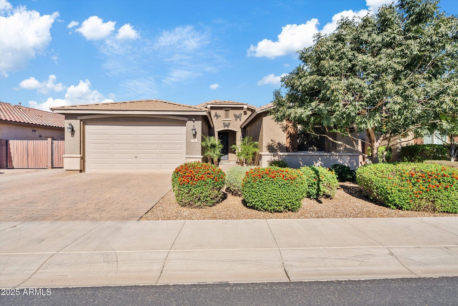 Property Photo:  78 W White Oak Avenue  AZ 85140 