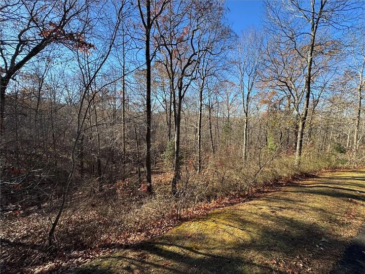 Property Photo: 131 Harris Creek Drive GA 30540