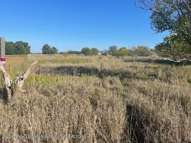 Property Photo: 0 S Watson Road MI 48879