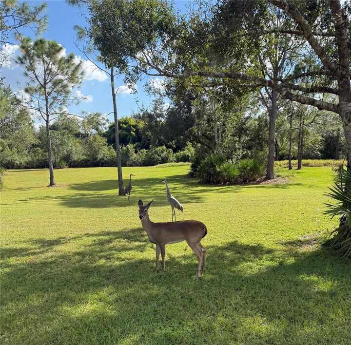 Property Photo: 1408 Oak Hammock Road FL 34240