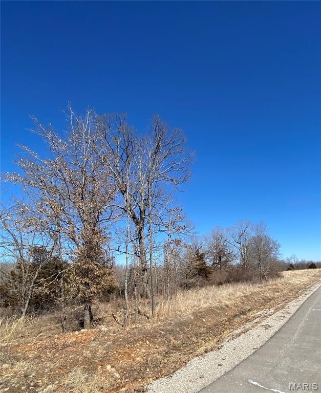 Property Photo: 0 Lot 11 Promise Drive MO 65536